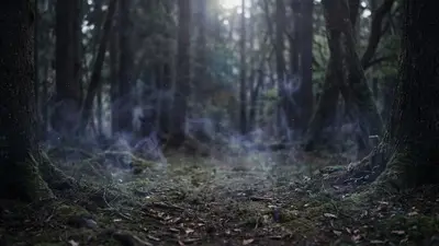 Кадр із кліпу «Мавка»